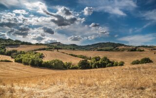 La Storia degli Insediamenti e delle Strutture Abitative: Un Viaggio nel Tempo