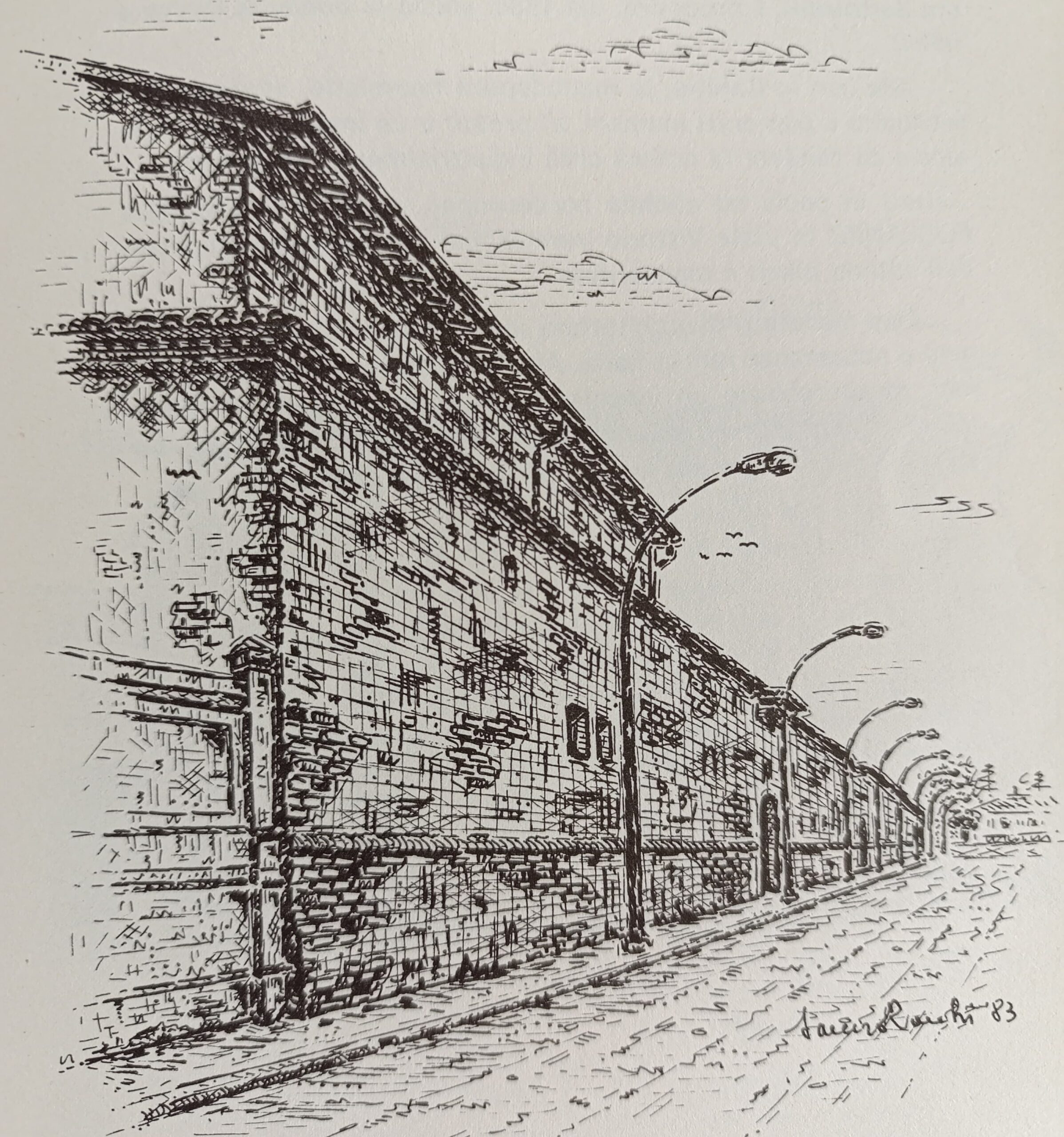 Il Quartiere di Via Dandolo fra Santa Chiara e Schiavonia: Storia Chiese e Memoria