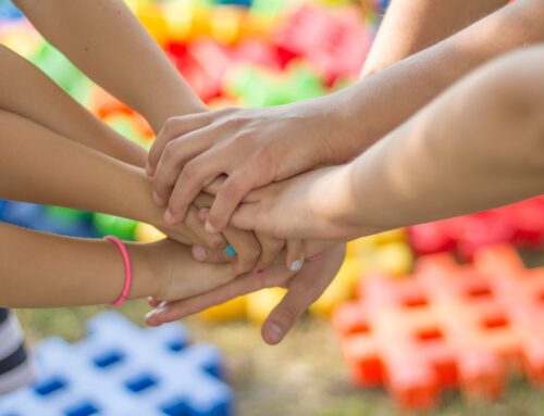 Insieme per il territorio: le cooperative socie del Consorzio Solidarietà Sociale Forlì-Cesena