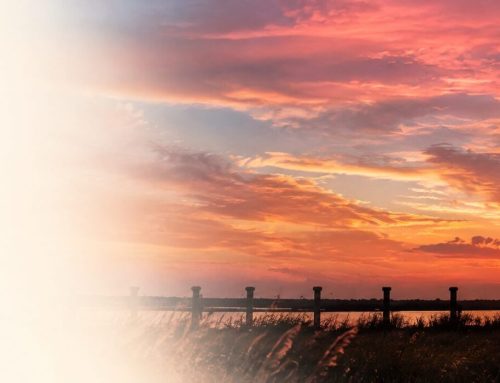Cervia su AleTasso21 si rinnova: nuova grafica, nuovi contenuti e una navigazione più semplice